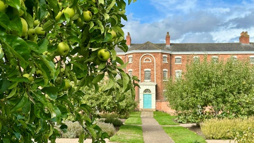 Apple trees in the kitchen garden